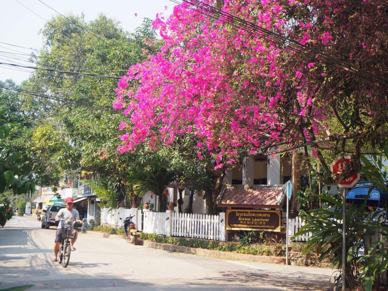 Wisdom Laos Hotel Luang Prabang Exterior photo